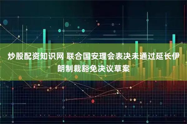 炒股配资知识网 联合国安理会表决未通过延长伊朗制裁豁免决议草案