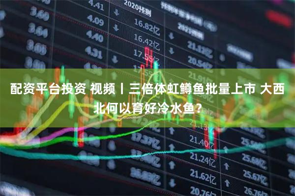配资平台投资 视频丨三倍体虹鳟鱼批量上市 大西北何以育好冷水鱼？