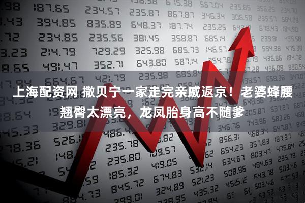 上海配资网 撒贝宁一家走完亲戚返京！老婆蜂腰翘臀太漂亮，龙凤胎身高不随爹