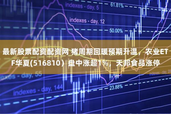 最新股票配资配资网 猪周期回暖预期升温，农业ETF华夏(516810）盘中涨超1%，天邦食品涨停